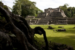 BZ10.RisingfromtheJungleCaracol_Z9D2670 BZ10.RisingfromtheJungleCaracol_Z9D2670